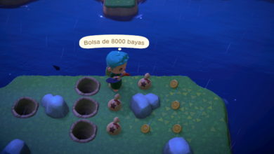 Photo of Cómo encontrar 15.000 Bayas en segundos en Animal Crossing: New Horizons