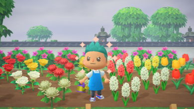 Photo of Cómo obtener todas las herramientas doradas en Animal Crossing: New Horizons