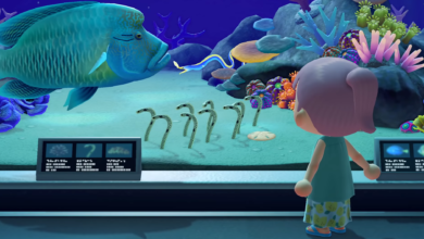 Photo of Criaturas marinas y lista completa en Animal Crossing: New Horizons