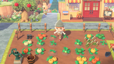 Photo of Cómo cultivar calabazas en Animal Crossing: New Horizons